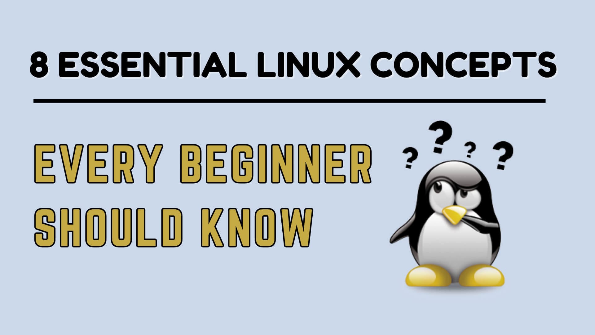 Linux Basics for Beginners